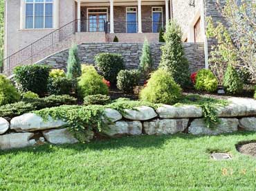 Landscaping 5
