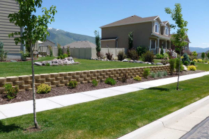 Top 5 Landscaping Trends in Utah for 2025