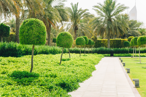 Transform Your Outdoor Space: Expert Landscaping Ideas for Utah Homes