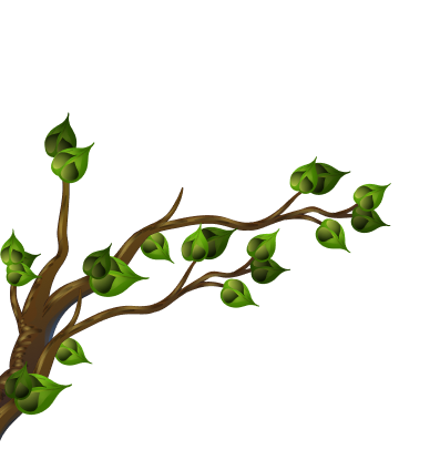 Tree Shape