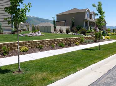 Sod Installation