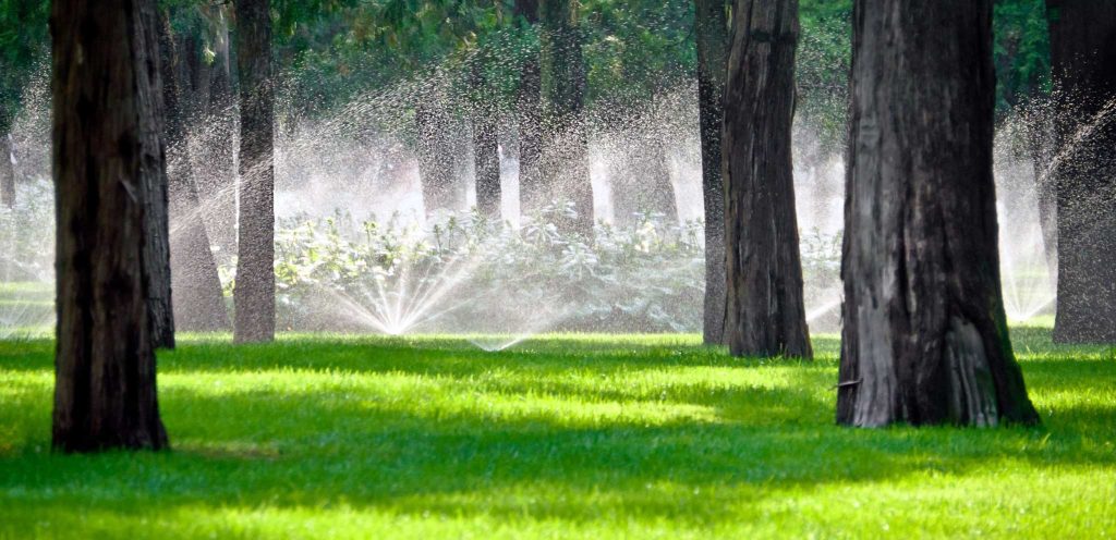 Sprinkler System Installers