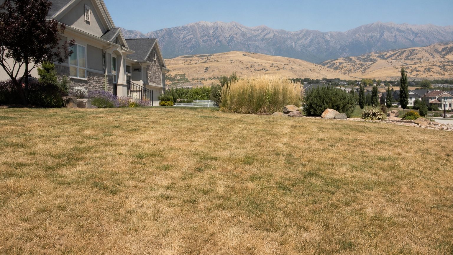 Why Utah Lawns Turn Brown in August